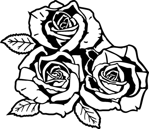 3 Roses04